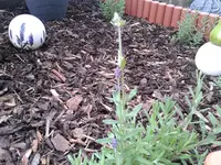 2012-06-10 10.55.49.webp