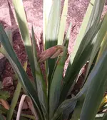 2012-06-10 10.57.34.webp
