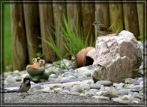 comp_DSC01754.webp