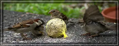 comp_DSC01780.webp
