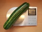 erste Zucchini.JPG