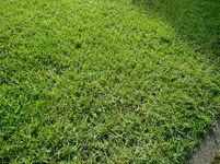 CIMG2166.webp