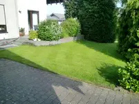 CIMG2168.webp