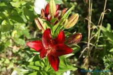 comp_DSC08099.webp