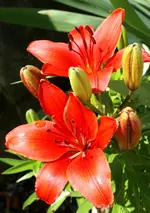 DSC01806.webp