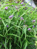 Kopie von IMG_0286.webp