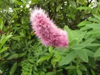 004.webp