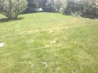 2012-06-09-068.webp