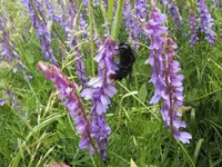 BILD1491.webp