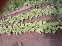 P100612_11.11_[03].webp