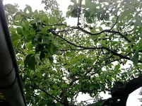 P100612_13.14_[01].webp
