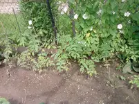 P100612_11.11_[01].webp