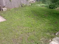 P100612_11.11_[05].webp