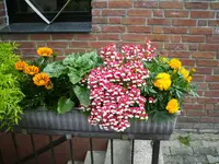 PICT0002.webp