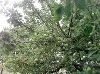 P100612_13.15_[01].webp