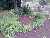 P100612_13.15_[03].webp