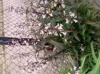 P100612_13.16.webp
