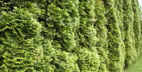 IMG_0057.webp