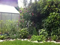 IMG_0910.webp