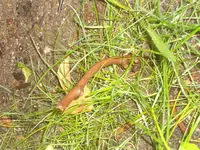 DSC02098.webp