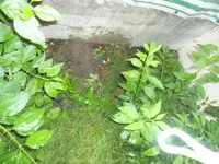 DSC02099.webp