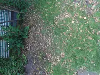 DSC02093.webp