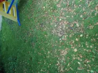 DSC02094.webp