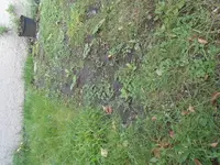 DSC02095.webp