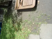DSC02097.webp