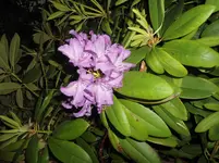 DSC02045.webp