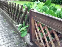 020.webp