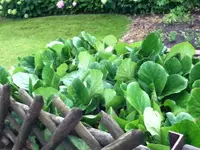 022.webp