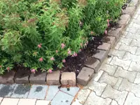 017.webp