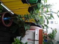20120611_190055.webp