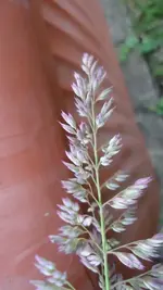 DSC01493.webp
