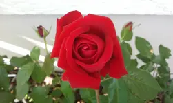 2012-06-11 16.58.06.webp