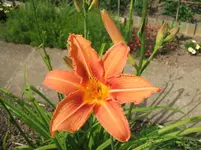 2012_0611juni120002.webp