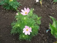 2012_0607juni120004.webp