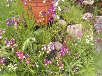 Bild 062.webp