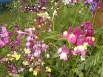 Bild 064.webp