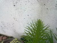 12062012571.webp