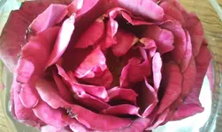 2012-06-11 17.12.44.jpg