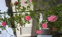 2012-06-10 19.22.46.webp