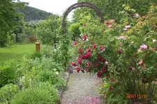 Garten 06 2012 2 002.webp