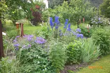 Garten 06 2012 2 011.webp