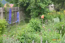 Garten 06 2012 2 022.webp