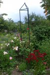 Garten 06 2012 2 025.jpg