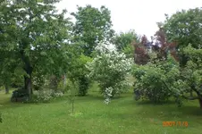 Garten 06 2012 2 026.webp