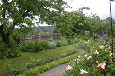 Garten 06 2012 2 027.webp