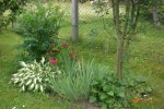 Garten 06 2012 2 029.jpg